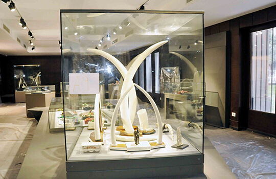 Heraa constructions Museum of Leader Gamal Abdel Nasser project